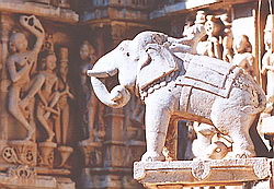 слоны в Индии. рельеф